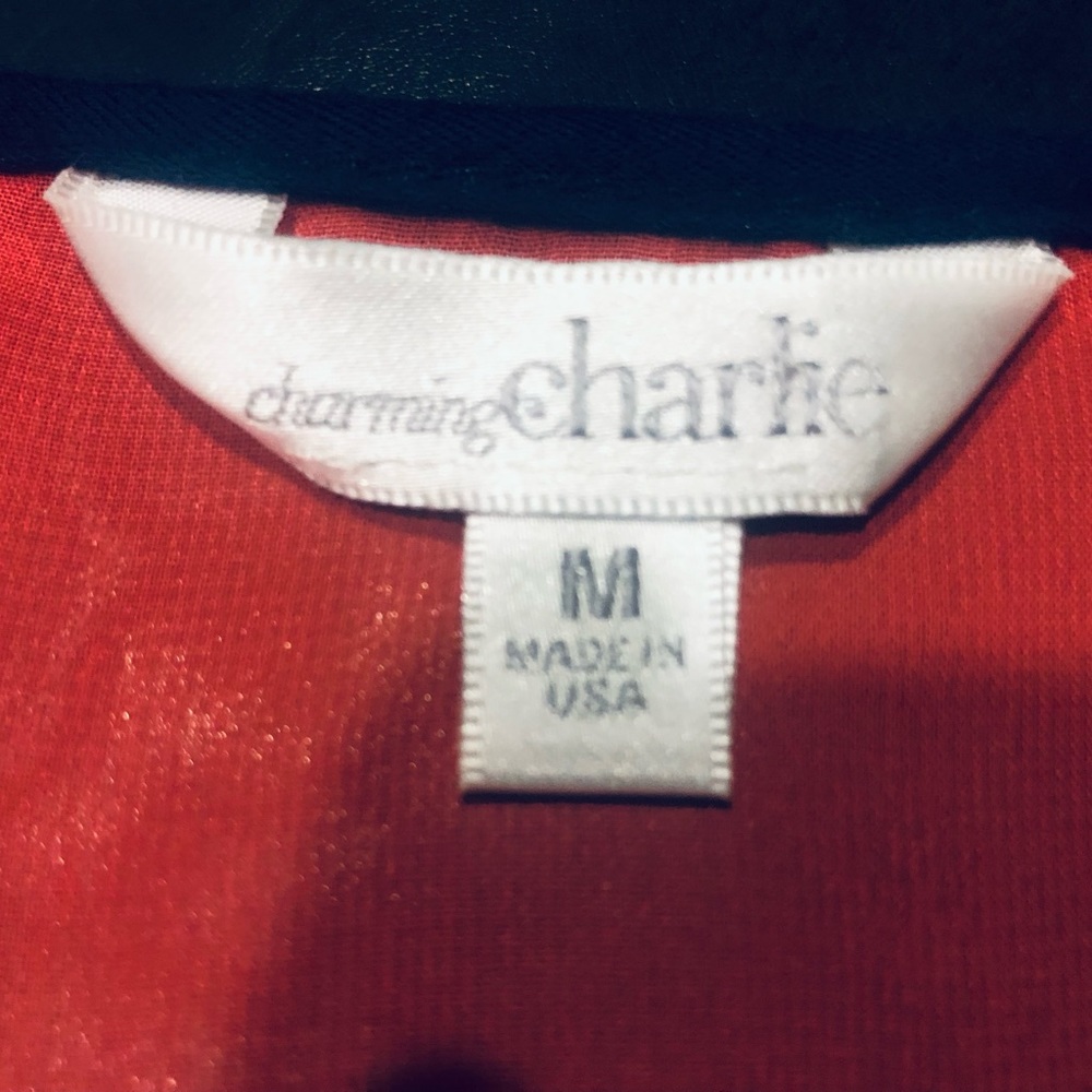 ❤️🔥Charming Charlie❤️🔥Striped SS Tee w/Sheer Back❤️🔥Measurements Pics❤️🔥 - Picture 6 of 11